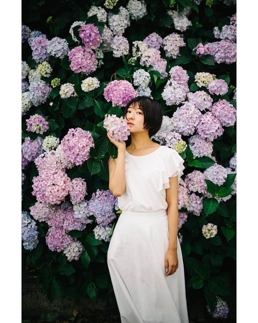 GENTAのインスタグラム：「💠Flowers blooming in the rainy season #distagon」