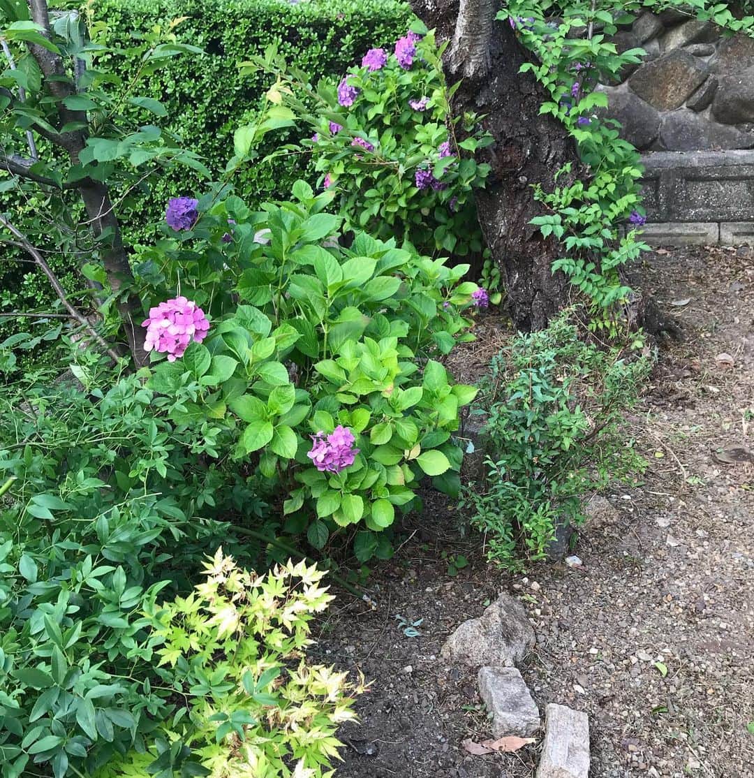 cafezakkagallery-flagのグルメインスタ