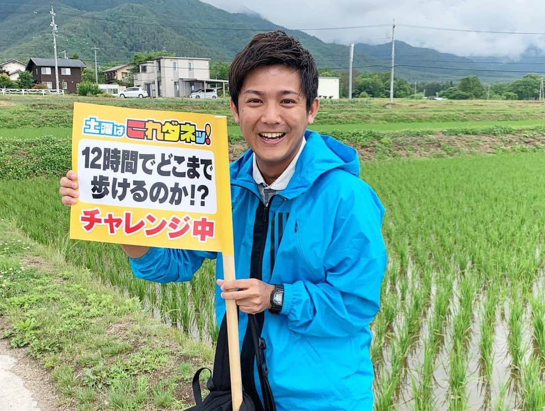 松山航大さんのインスタグラム写真 - (松山航大Instagram)「★ 『12時間ガチ歩き』 . 最もやらせを疑われるあの企画。 1年ぶりに帰ってきました。 あさって放送です。 ガチで歩いてます。 そしてハートフルです。 ちなみに、2枚目どこか分かりますか？ . #1年ぶり に帰ってきた #土曜はこれダネッ！ #12時間ガチ歩き #今回 は #安曇野市 #穂高 の #田んぼ からスタート #どこまで #行けるか #見どころ は #間違いなく #サラダ街道 #長野放送 #アナウンサー #松山航大」6月20日 20時48分 - kodai_matsuyama