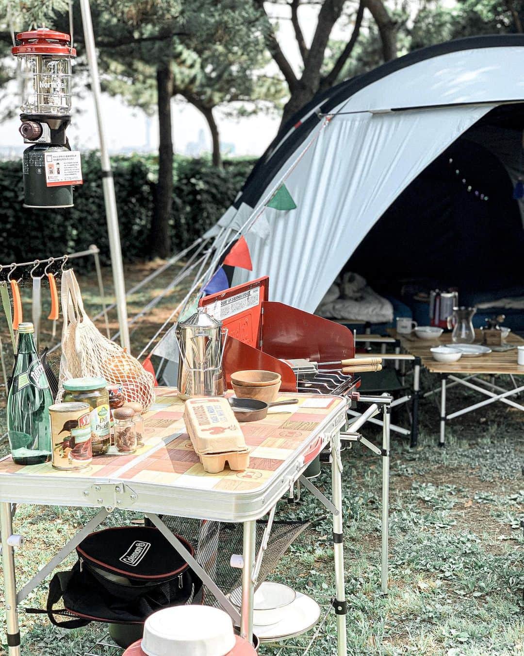 島野ミキさんのインスタグラム写真 - (島野ミキInstagram)「・ ・ 今日は @coleman_japan のイベントに ご招待して頂きました🏕✨ 簡単にできるテントの組み立てや "#キャンプ飯 "のレクチャーしてもらいました🍳🍳🍳 最近、キャンプをやり始めようと思ってたとこで テントどれにしようかと迷ってたので #coleman に決めた‼️ オシャレだし何よりも女子の私でも 簡単にテントの組み立てできるところに惹かれた (˃̵ᴗ˂̵)و  てことでッッ！！！！ 私と#キャンプ 女子会やってくれるお友達募集中❤️w ・ ・ #アウトドア#テント#キャンプ#バーベキュー#アウトドア女子#キャンプ女子#キャンプ好き#BBQ好き#🏕#tent#outdoor#Lifestyle #camp #camjyo #camphack取材 #キャンプでブー #outdoor #hinataoutdoor #campzine掲載希望 #キャンプ女子 #キャンプ好きな人と繋がりたい」6月20日 21時01分 - miki_shimano
