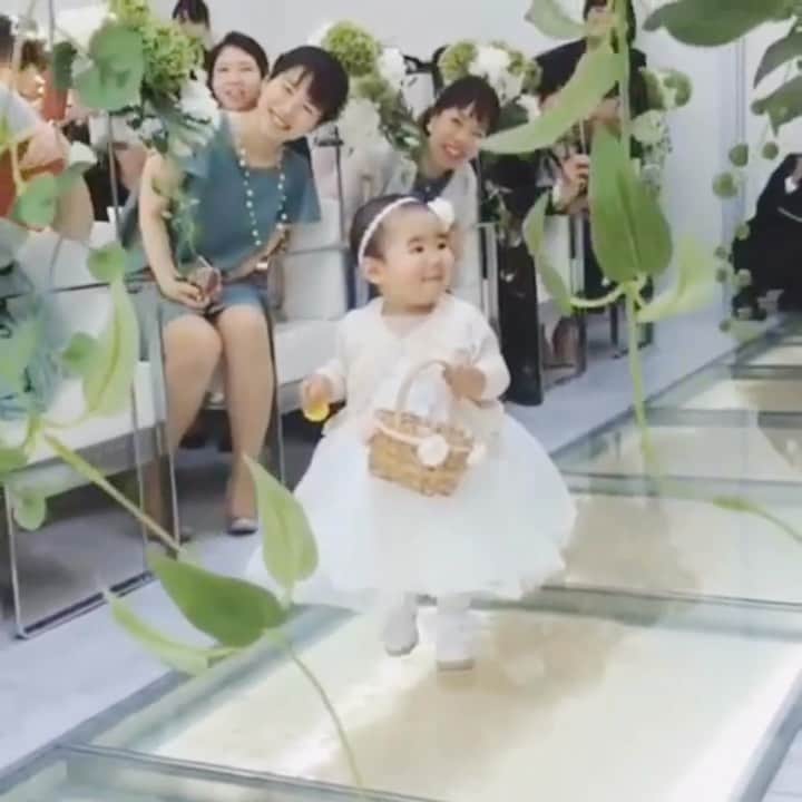 プレ花嫁の結婚式準備アプリ♡ -ウェディングニュースのグルメインスタ