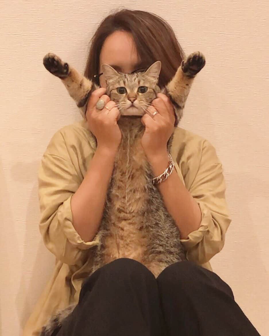 中山美香さんのインスタグラム写真 - (中山美香Instagram)「爪切り後。 . . . #ちゃんた852日目 #猫 #ねこ #cat #cats  #chat #ilovecat #instacat #catlover #cute #catoftheday #tigre #mignon #browntabby  #catsofinstagram #catstagram #cats_of_instagram #もふもふ #愛猫 #保護猫 #被災猫 #キジ猫 #キジトラ」6月20日 21時39分 - mika5nakayama