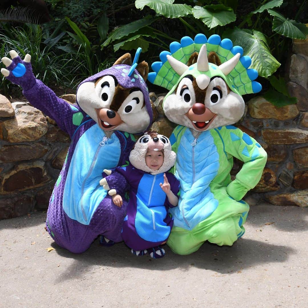 tiahy__さんのインスタグラム写真 - (tiahy__Instagram)「I missed you!!Chip and Dale!!!. . . Dino-bush!. . Thanks to all of you, we are very happy.  We were able to have a fun time after seeing all of you. . . . . ものすごくものすごくものすごく会いたくて会いたくてたまらなかったの素晴らしいあなた達に!!. . . 恐竜さんのChip and Dale. . もうもう感激で涙が出るくらい嬉しかったです. . . . . . 選びきれないほどたくさん思い出の写真がたくさん... またmovieなども載せさせてもらいます. . . . #chipanddale#chip_taia#taiacostume#WDW#disneysanimalkingdom#disneybaby」6月20日 21時39分 - tiahy__disney
