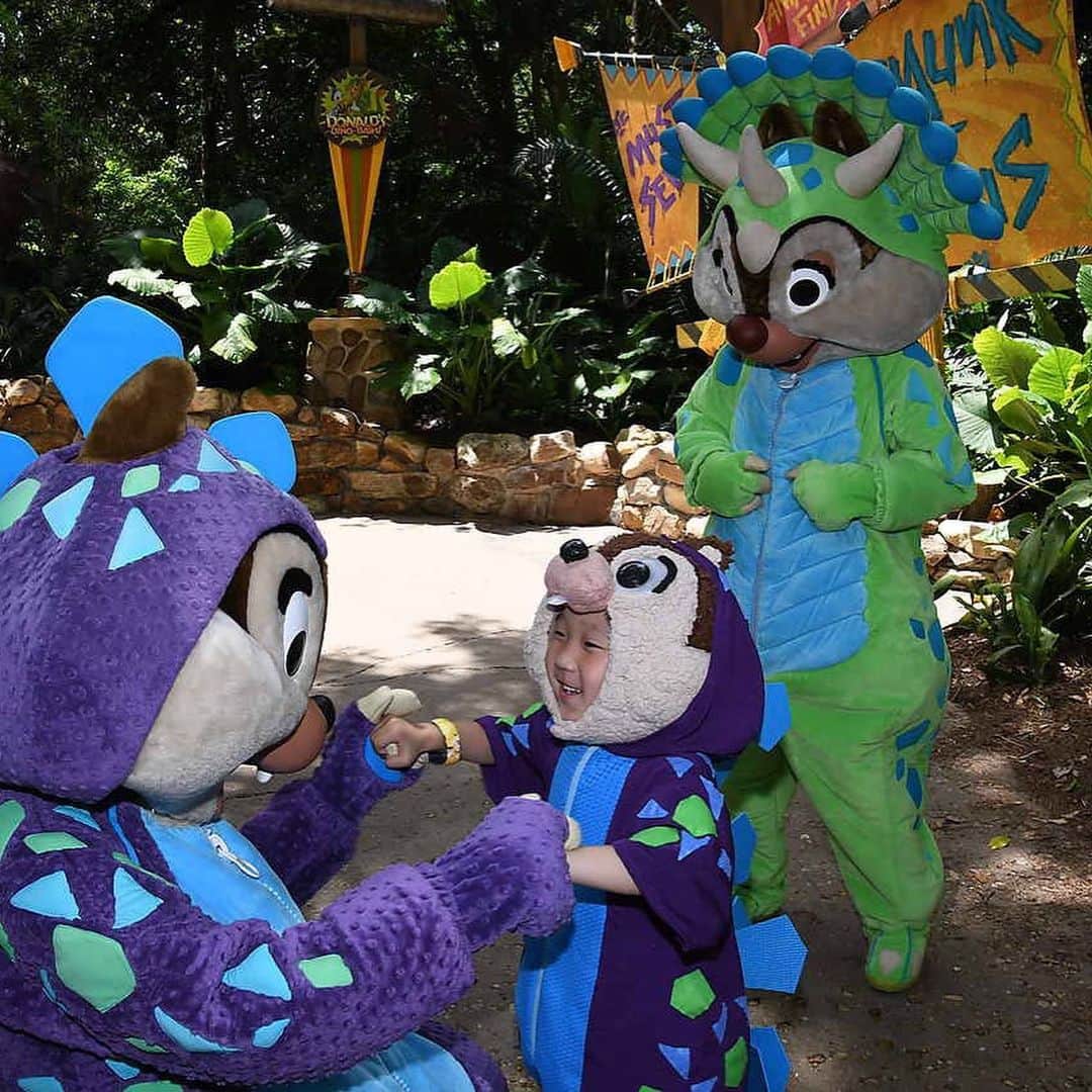 tiahy__さんのインスタグラム写真 - (tiahy__Instagram)「I missed you!!Chip and Dale!!!. . . Dino-bush!. . Thanks to all of you, we are very happy.  We were able to have a fun time after seeing all of you. . . . . ものすごくものすごくものすごく会いたくて会いたくてたまらなかったの素晴らしいあなた達に!!. . . 恐竜さんのChip and Dale. . もうもう感激で涙が出るくらい嬉しかったです. . . . . . 選びきれないほどたくさん思い出の写真がたくさん... またmovieなども載せさせてもらいます. . . . #chipanddale#chip_taia#taiacostume#WDW#disneysanimalkingdom#disneybaby」6月20日 21時39分 - tiahy__disney