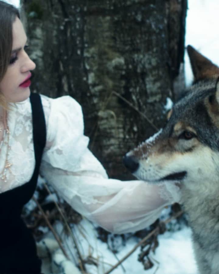 ウリヤナ・セルギエンコのインスタグラム：「- Milana .. come to me and help your sister #sisterhood #ulyanadreams 🐺」