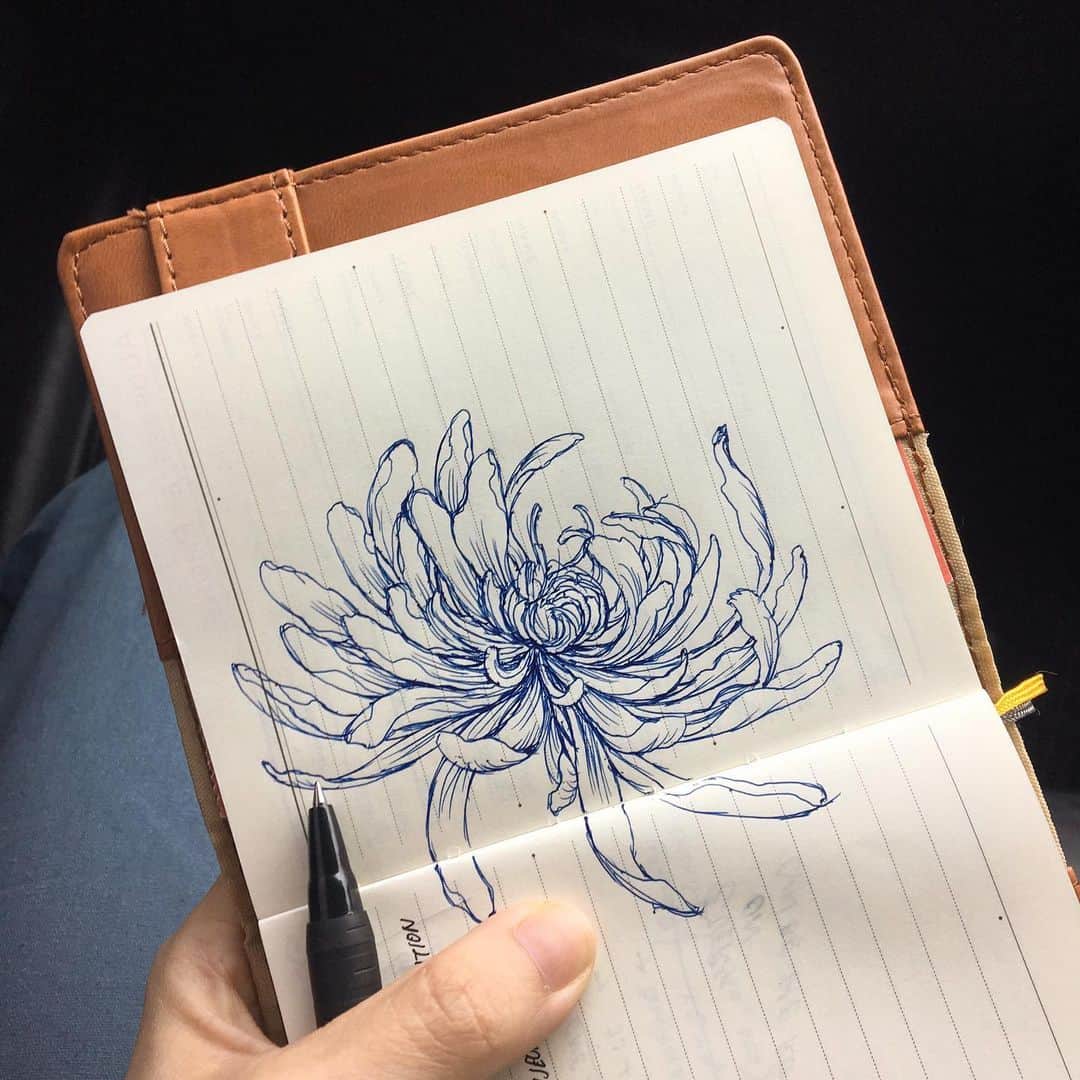 晴日のインスタグラム：「🌼」