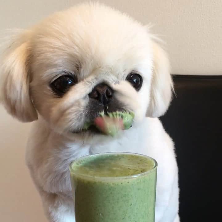 こなつのインスタグラム：「i'm lovin it 💚💚💚﻿ ﻿ ﻿ ﻿ ﻿ ﻿ ﻿ #instalove」