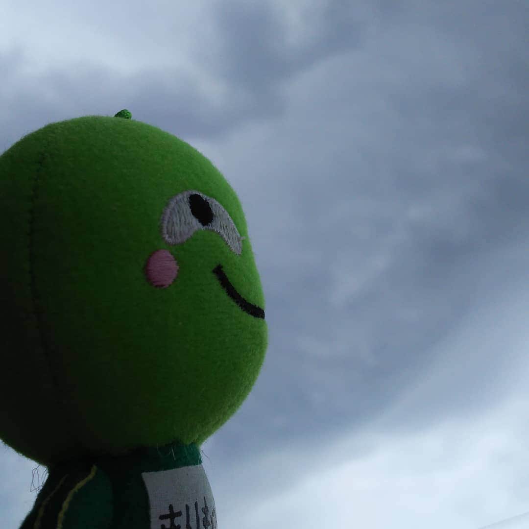 まりもっこりさんのインスタグラム写真 - (まりもっこりInstagram)「なんだか怪しい雲行き…傘忘れないでね #まりもっこり #空ご機嫌ななめ #北海道」6月21日 10時06分 - marimokkori2005
