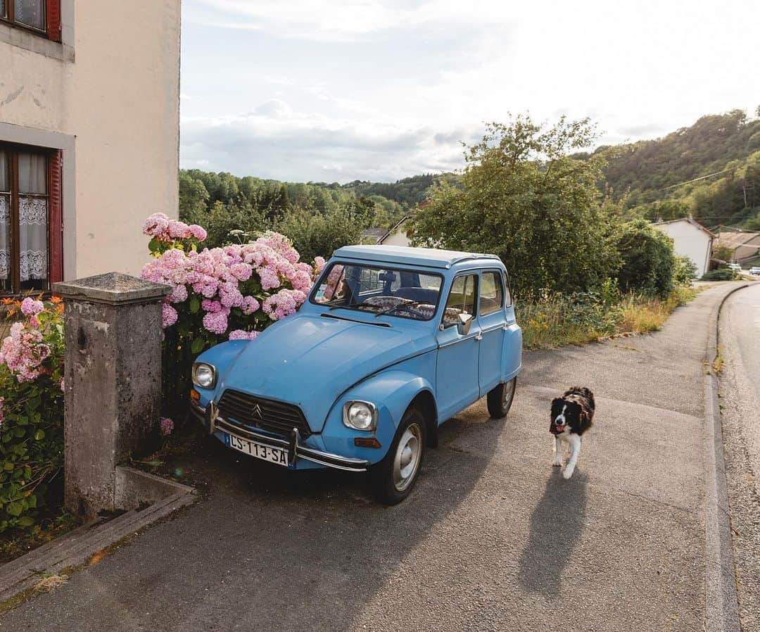 Andrew Knappさんのインスタグラム写真 - (Andrew KnappInstagram)「My best buddy is 11 now. Can’t help but imagine all of the little memories floating around in his head. Like this one from rural France. I don’t even remember which town this was. We were driving to Biarritz from Switzerland and we took a lot of little breaks. We saw very few people, like we were on a film set. Happy birthday, buddy. 💛」6月21日 8時49分 - andrewknapp