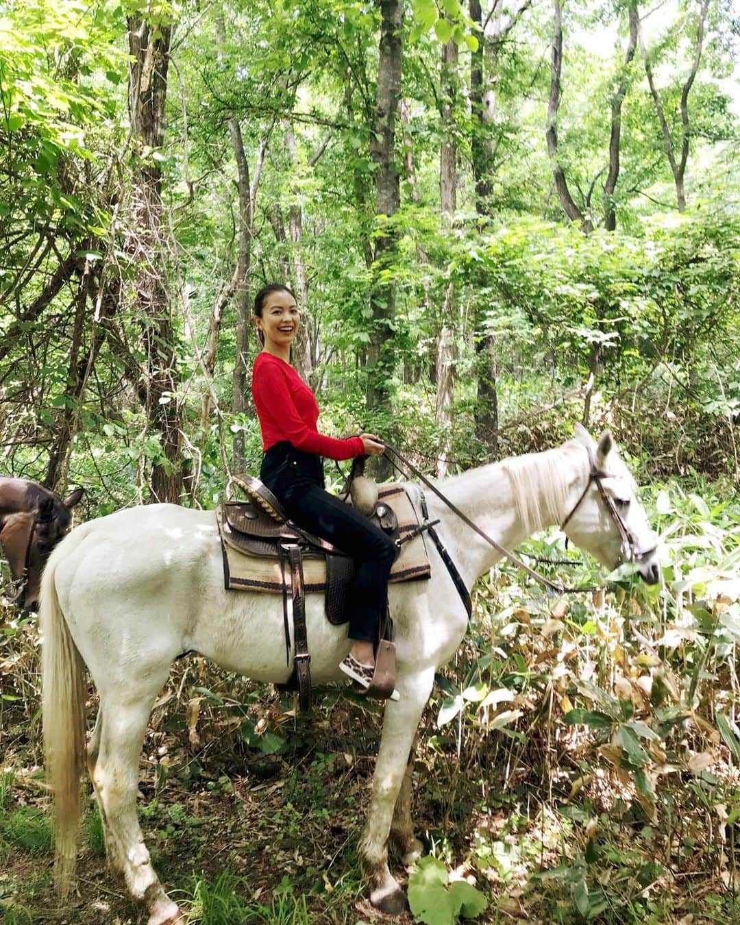 矢野未希子さんのインスタグラム写真 - (矢野未希子Instagram)「白馬にのって 森を散策  夢のような時間でした✨」6月21日 8時59分 - mikko1104
