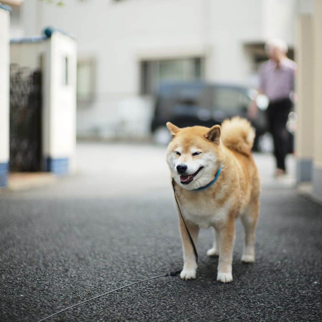 まる（まるたろう）のインスタグラム