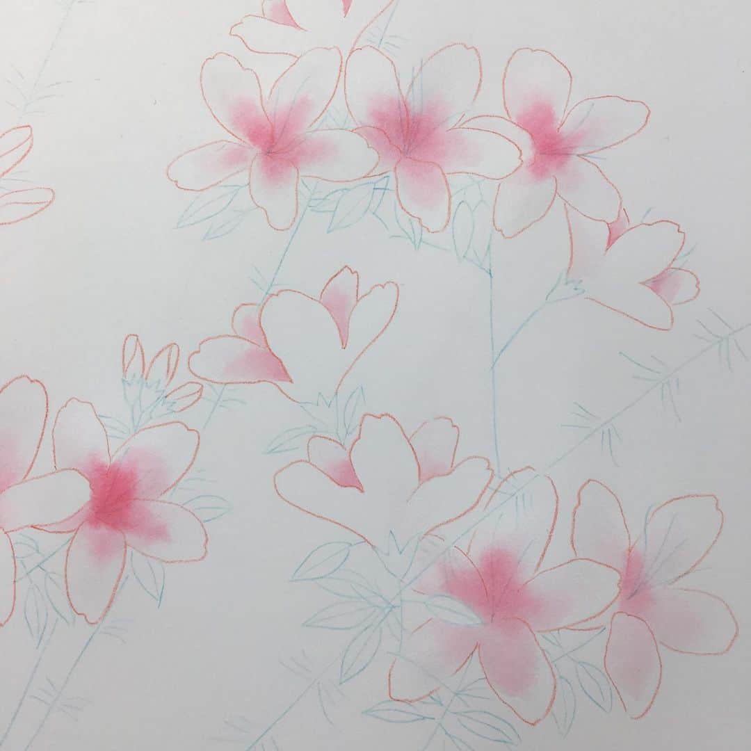 上田倫子さんのインスタグラム写真 - (上田倫子Instagram)「「蘭と葵」6巻カバーイラストの製作レポート残しておきます。 今回は蘭の瞳にグリーン入れて良い感じに仕上がりました。 基本は水彩インクで葉っぱまでは水彩で、花の茎のアクアグリーンはアクリル絵具です。アクリルは下絵が決まってから似た色合いの絵具を3色くらい買ってから家で試し塗りをして自分的に正解の色を使用しています。」6月21日 9時20分 - korinntonn