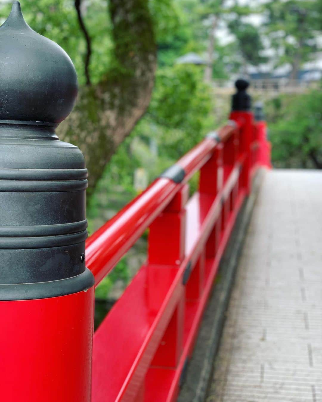丘山晴己さんのインスタグラム写真 - (丘山晴己Instagram)「岡崎城の可愛い橋💓❤️ 緑の中に赤はすきいいいいいいいいいい#insta」6月21日 10時00分 - haruki_kiyama