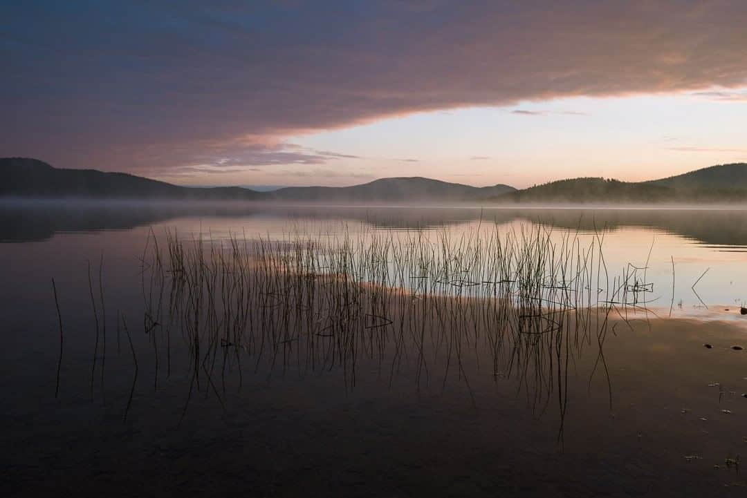 National Geographic Travelさんのインスタグラム写真 - (National Geographic TravelInstagram)「Photo by @kiliiiyuyan | Rushes break the fog-laden waterline of Lake Inari, Finland, above the Arctic Circle. Like much of the rest of the Arctic, large tracts of wilderness remain, but have increasingly opened to human development as the climate warms. Tourists from the rest of Europe find their way to Lake Inari to experience the raw natural world and the homeland of the Finnish Sami. #climatechange #arctic #finland」6月21日 10時01分 - natgeotravel