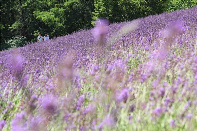 現地発信の旅行サイト「たびらい」のインスタグラム