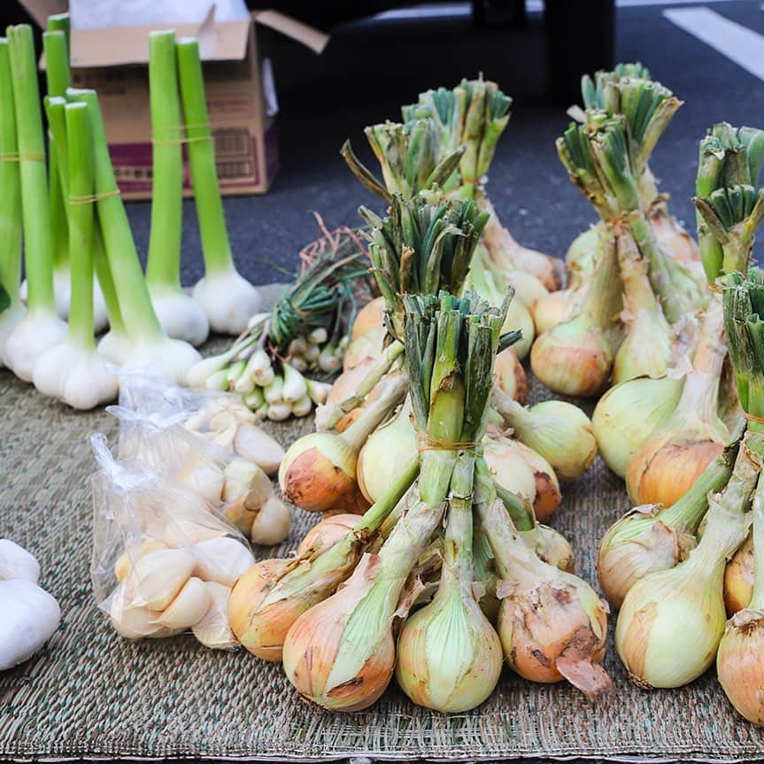 愛知県田原市さんのインスタグラム写真 - (愛知県田原市Instagram)「Let's go to the market tomorrow. * ニ七の市へ行こう *  #明日は二七の市#2と7の付く日にやってるから二七の市#新鮮野菜#花#魚 なんでもあるよ  朝5時〜8時ごろ 田原文化会館駐車場  #見ているだけでも楽しい #おばあちゃんありがとう  #たはら暮らし  #渥美半島#田原市#田原#伊良湖岬#伊良湖#赤羽根 #tahara#irago#akabane #サーフィン#surfing#田舎暮らし#日々の暮らし#休日の過ごし方#スローライフ#instagramjaran#igersjp」6月21日 10時00分 - tahara_kurashi