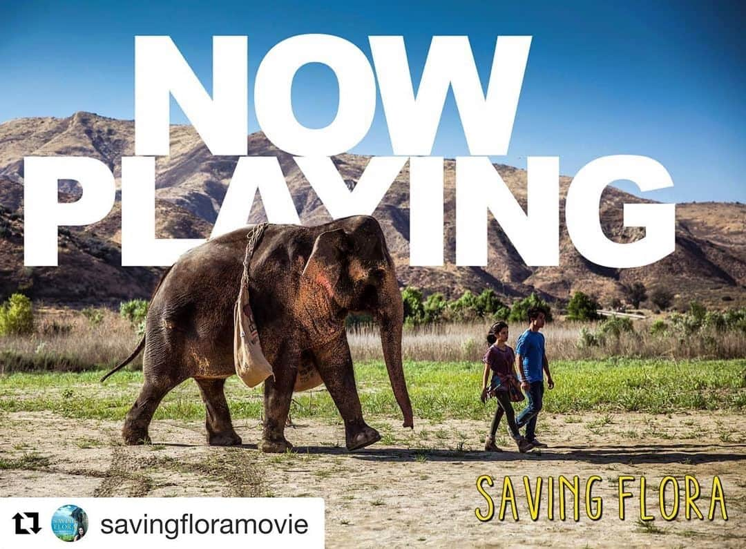 デヴィッド・アークエットさんのインスタグラム写真 - (デヴィッド・アークエットInstagram)「#Repost @savingfloramovie ・・・ Just a runaway Elephant and her humans, "marauding" through the desert.  #SavingFlora」6月21日 1時45分 - davidarquette