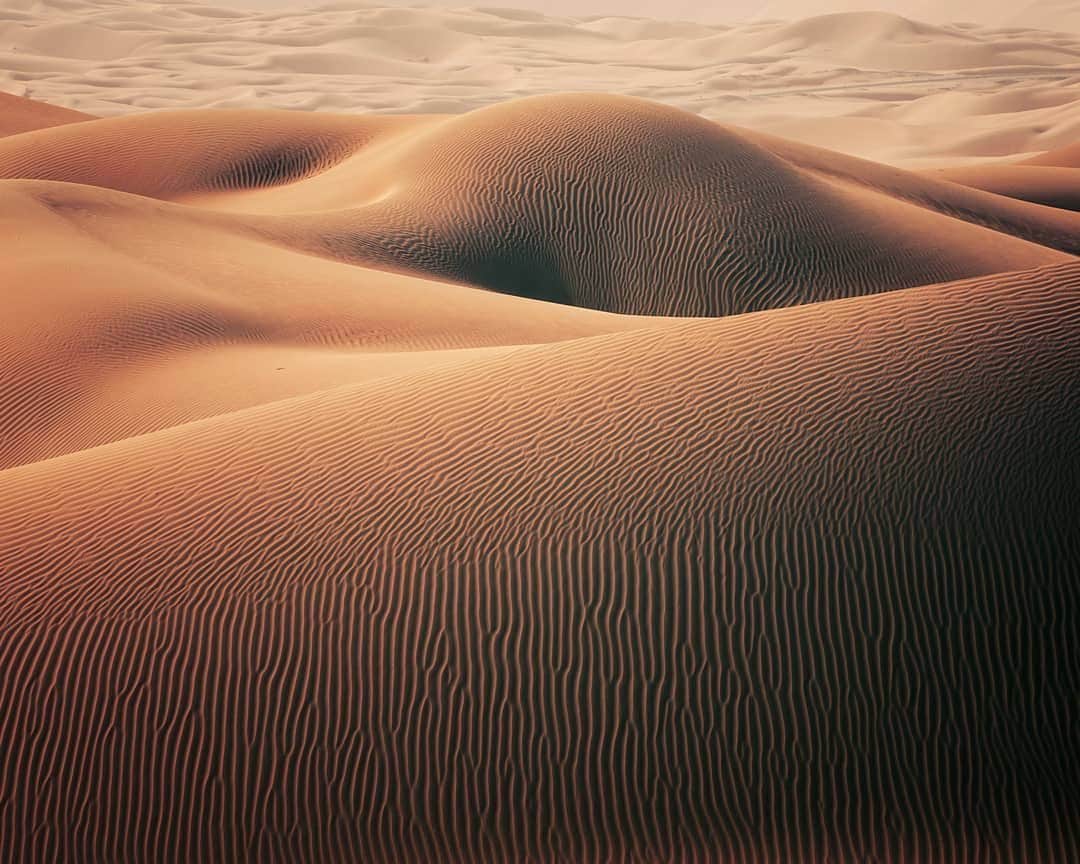 NikonUSAさんのインスタグラム写真 - (NikonUSAInstagram)「#NikonNoFilter from @ecmguy: “Good evening, desert.” Shot with the #Nikon #D850 and AF-S #NIKKOR 70-200mm f/2.8G ED VR II lens. We’re loving all your photos this month so keep sharing them with us using #NikonNoFilter for a chance to be featured!」6月21日 2時36分 - nikonusa