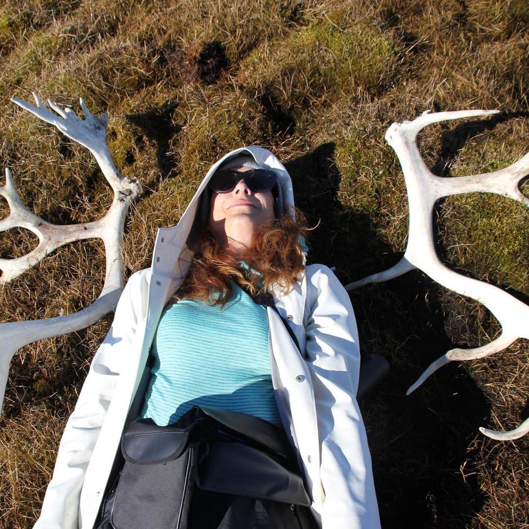 ケイト・ウォルシュさんのインスタグラム写真 - (ケイト・ウォルシュInstagram)「Arctic reindeer! ❄️ #KateGoesPolar 💙@LindbladExp @NatGeo 📸 @monafuckinglisa」6月21日 2時53分 - katewalsh