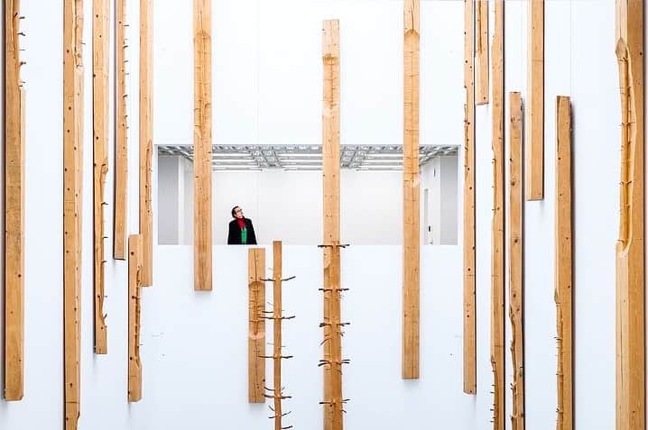 のインスタグラム：「"Giuseppe Penone" is currently on view at the Stiftung Saarländischer Kulturbesitz, in Saarbrücken, Germany!  Penone’s aesthetics are based on a dialogue with nature and its forces and revolve around the question of the limits of one’s own body and perception. Included in this eponymous exhibition is the multipart expansive sculpture "Corteccia" (1983), which is presented in Germany for the first time. Learn more via the link in our bio. __________ #GiuseppePenone #SaarlandMuseum #Gagosian  #Repost @modernegalerie」
