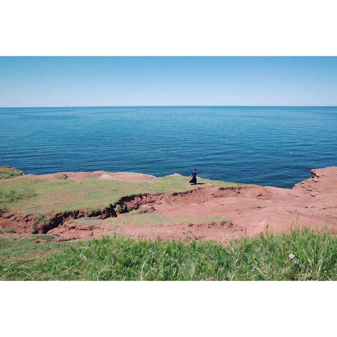 高山都さんのインスタグラム写真 - (高山都Instagram)「いままで、土を綺麗だと思ったことはなかった。 プリンスエドワード島の土は、酸化鉄というサビと同じ成分が含まれているために、赤い大地になるそう。 空の青と、草原の緑、大地の赤茶のコントラストが本当に美しくて、自然の配色ってなんて綺麗なんだと、この島でしみじみ感動したなー。 建物も、石ではなく、木造なので、その温かみも魅力のひとつ。 各家の色味も、土地の情景を壊すことなく、いやむしろ更に素敵に見える。それも素敵だった。 みんな、自分たちでペンキ塗りをして、メンテナンスをするそう。 この島に来て、カメラを使うのが楽しくて仕方なかった。 どこを切り取っても、本当に美しい。 素朴な美しさって、こういうことだよなー。 #frau_canada2019 #🇨🇦 #都の旅の記録 #プリンスエドワード島」6月21日 4時09分 - miyare38