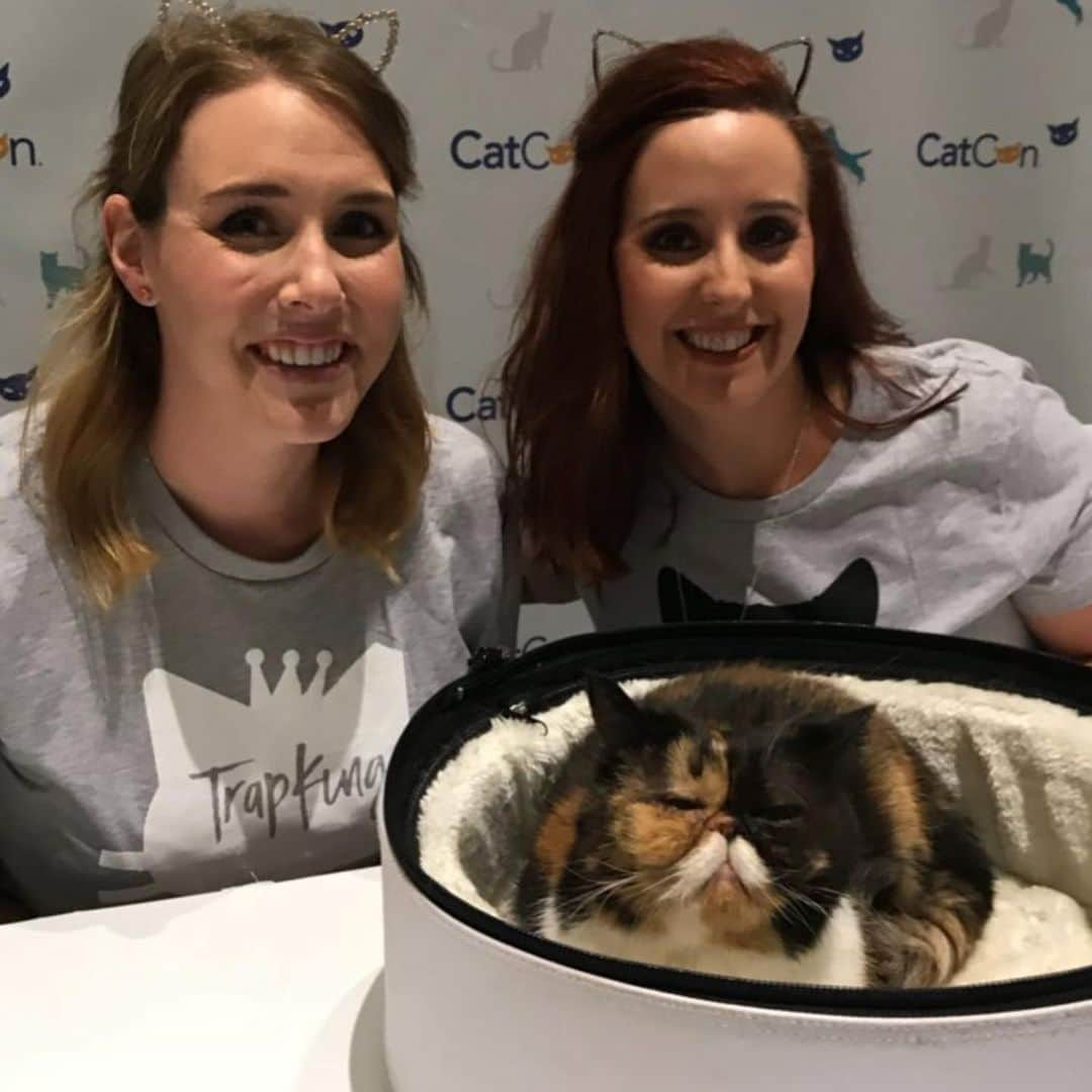 Pudgeさんのインスタグラム写真 - (PudgeInstagram)「A #tbt to all the years spent at @catconworldwide 💙 Pudge will be celebrating 5 years with @catconworldwide next weekend in Pasadena! You can meet her both days, Saturday June 29 & Sunday June 30 - grab your tickets in her bio. Proceeds benefit local animal charities 💙  Can’t wait to see you all again this year!」6月21日 4時14分 - pudgethecat