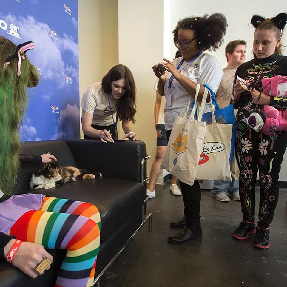 Pudgeさんのインスタグラム写真 - (PudgeInstagram)「A #tbt to all the years spent at @catconworldwide 💙 Pudge will be celebrating 5 years with @catconworldwide next weekend in Pasadena! You can meet her both days, Saturday June 29 & Sunday June 30 - grab your tickets in her bio. Proceeds benefit local animal charities 💙  Can’t wait to see you all again this year!」6月21日 4時14分 - pudgethecat