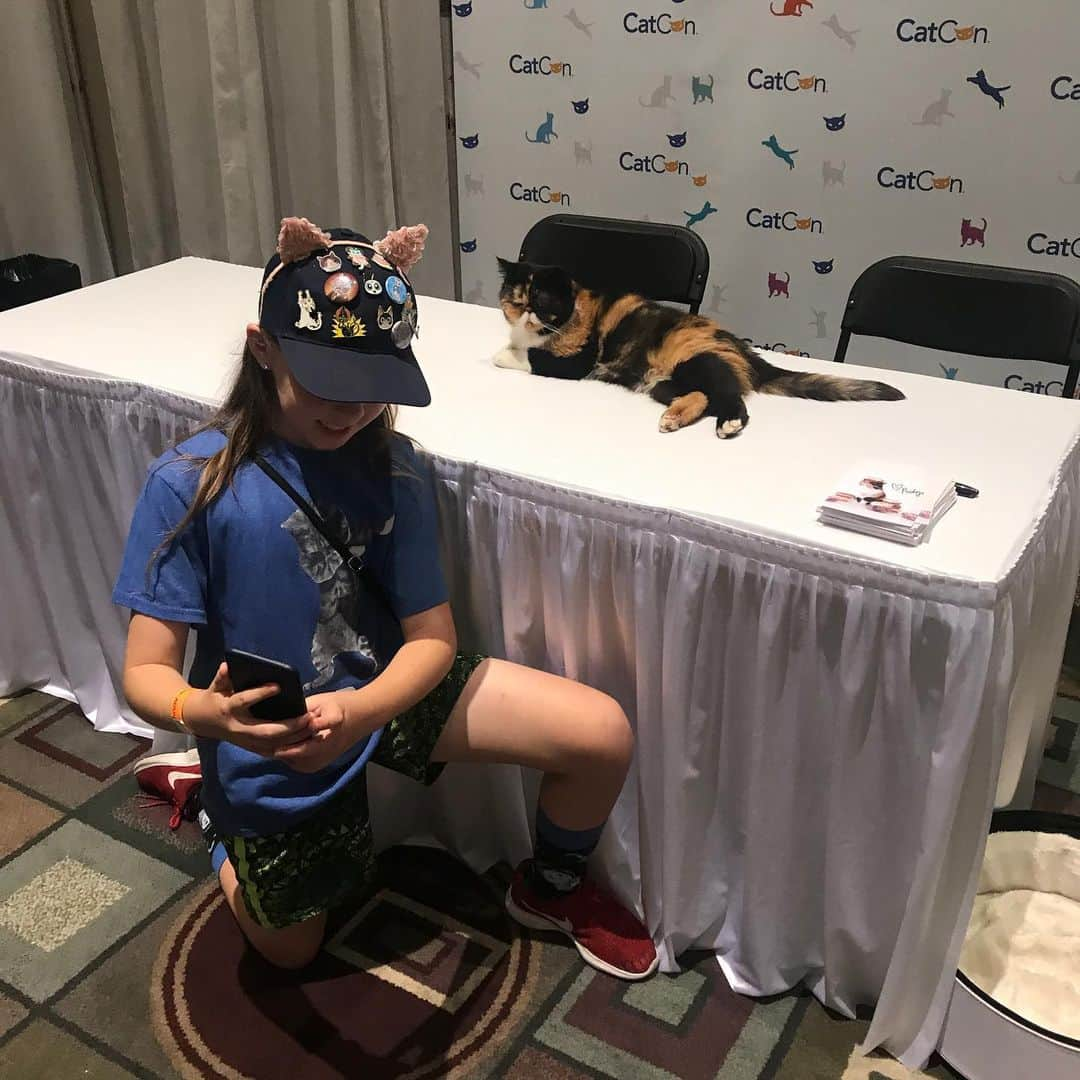 Pudgeさんのインスタグラム写真 - (PudgeInstagram)「A #tbt to all the years spent at @catconworldwide 💙 Pudge will be celebrating 5 years with @catconworldwide next weekend in Pasadena! You can meet her both days, Saturday June 29 & Sunday June 30 - grab your tickets in her bio. Proceeds benefit local animal charities 💙  Can’t wait to see you all again this year!」6月21日 4時14分 - pudgethecat