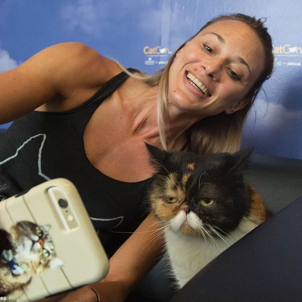 Pudgeさんのインスタグラム写真 - (PudgeInstagram)「A #tbt to all the years spent at @catconworldwide 💙 Pudge will be celebrating 5 years with @catconworldwide next weekend in Pasadena! You can meet her both days, Saturday June 29 & Sunday June 30 - grab your tickets in her bio. Proceeds benefit local animal charities 💙  Can’t wait to see you all again this year!」6月21日 4時14分 - pudgethecat