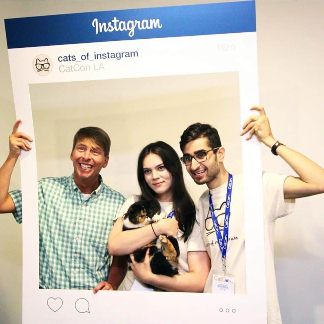 Pudgeのインスタグラム：「A #tbt to all the years spent at @catconworldwide 💙 Pudge will be celebrating 5 years with @catconworldwide next weekend in Pasadena! You can meet her both days, Saturday June 29 & Sunday June 30 - grab your tickets in her bio. Proceeds benefit local animal charities 💙  Can’t wait to see you all again this year!」