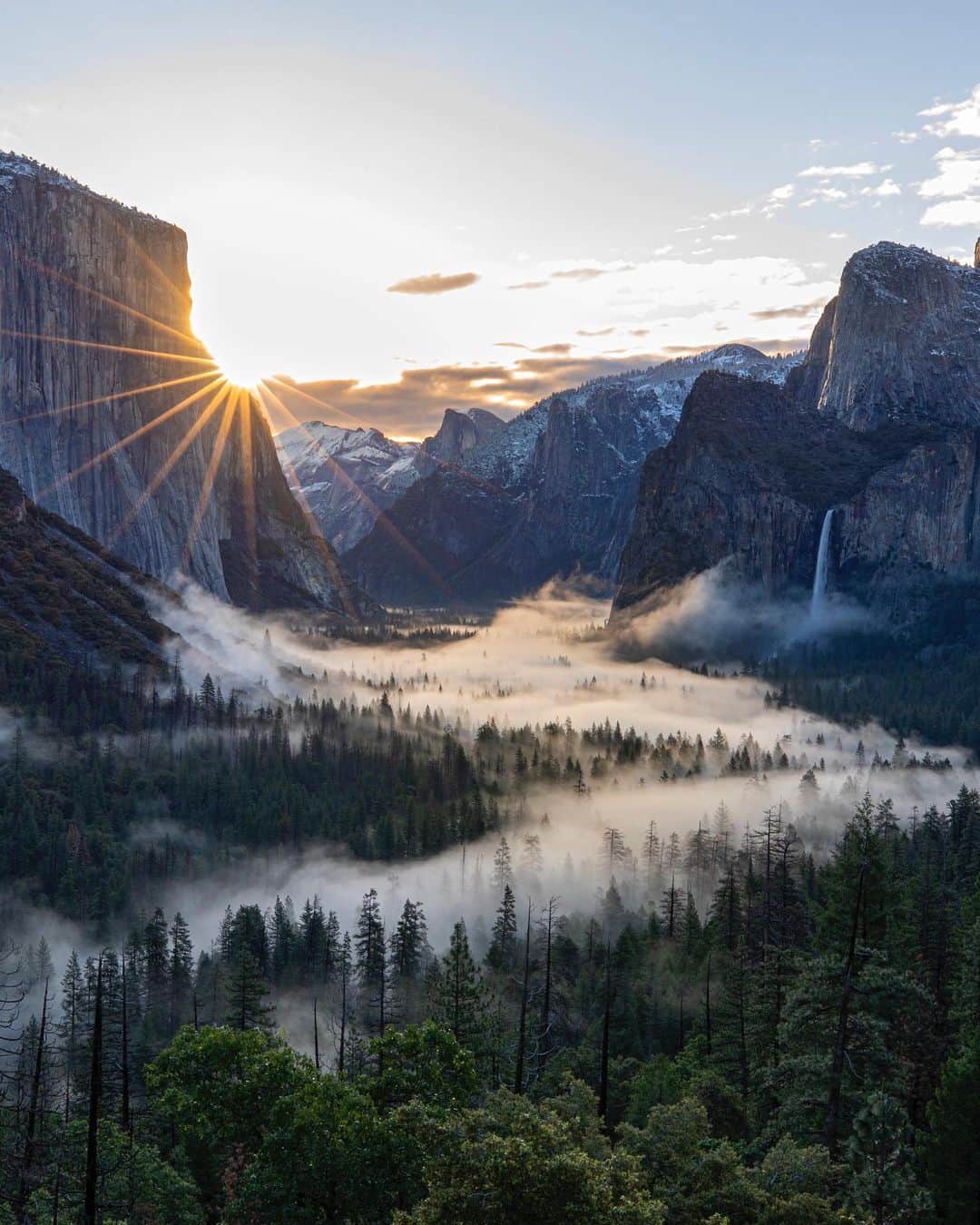 Discoveryさんのインスタグラム写真 - (DiscoveryInstagram)「“When fog covers the valley floor and you watch it weave around the trees from tunnel view.” 📸 + caption by Mark Bouldoukian (@markian.b) . . . . #photography #photooftheday #explore #naturephotography #nature #potd #travelIG #YosemiteNationalPark #wow #CA #California #trees #forest」6月21日 4時21分 - discovery