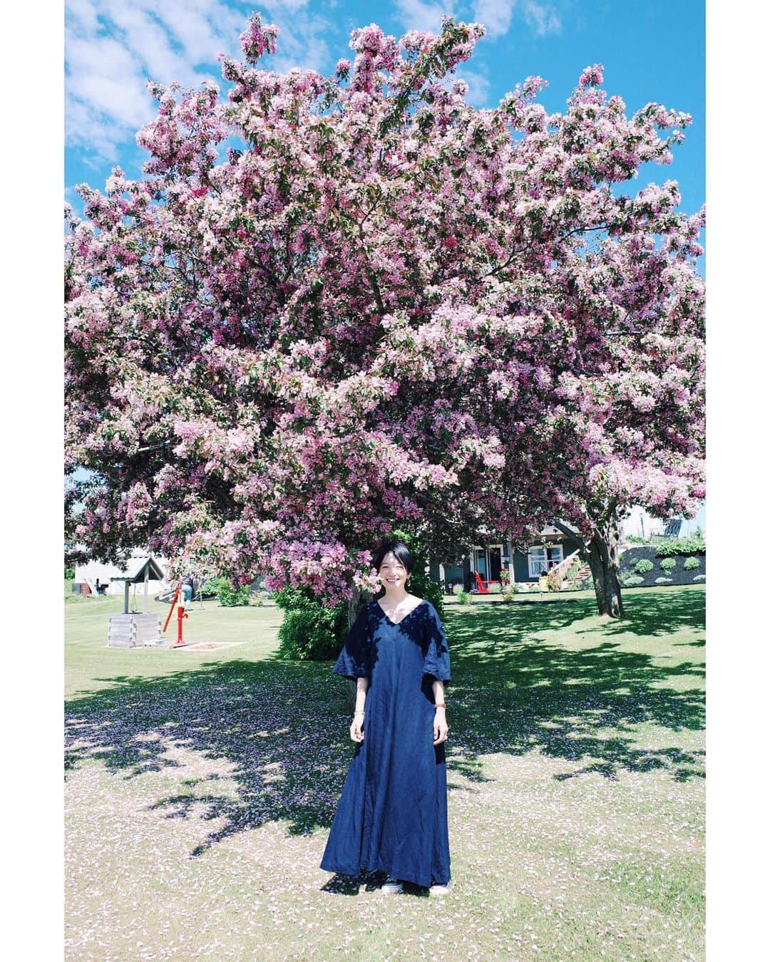 高山都さんのインスタグラム写真 - (高山都Instagram)「イロトリドリの草花にたくさん出会えた。 (このピンクの花は姫林檎) プリンスエドワード島の6〜8月は、色んな花たちが次々に咲き開くそう。 青空とのコントラストが本当に美しくて、見てるだけでニコニコしちゃう。 だから、朝ひとりで走るときも、カメラを持って出た。 丁寧に手入れされた庭たちも、各家庭の自慢の場所だそう。 冬は海まで凍る氷点下の真っ白な世界。 短い夏を島中のみんなで楽しむ様子に、世界一美しい島と呼ばれる理由が分かった気がしたなー。 #frau_canada2019 #都の旅の記録 #🇨🇦 #プリンスエドワード島 #都ふく」6月21日 5時21分 - miyare38