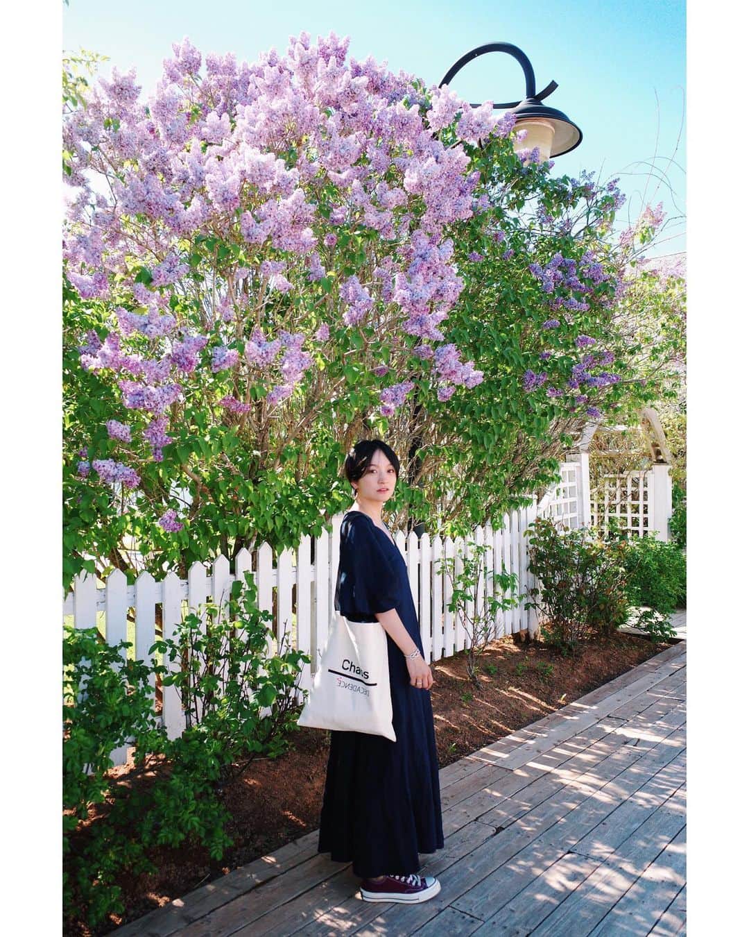 高山都さんのインスタグラム写真 - (高山都Instagram)「イロトリドリの草花にたくさん出会えた。 (このピンクの花は姫林檎) プリンスエドワード島の6〜8月は、色んな花たちが次々に咲き開くそう。 青空とのコントラストが本当に美しくて、見てるだけでニコニコしちゃう。 だから、朝ひとりで走るときも、カメラを持って出た。 丁寧に手入れされた庭たちも、各家庭の自慢の場所だそう。 冬は海まで凍る氷点下の真っ白な世界。 短い夏を島中のみんなで楽しむ様子に、世界一美しい島と呼ばれる理由が分かった気がしたなー。 #frau_canada2019 #都の旅の記録 #🇨🇦 #プリンスエドワード島 #都ふく」6月21日 5時21分 - miyare38