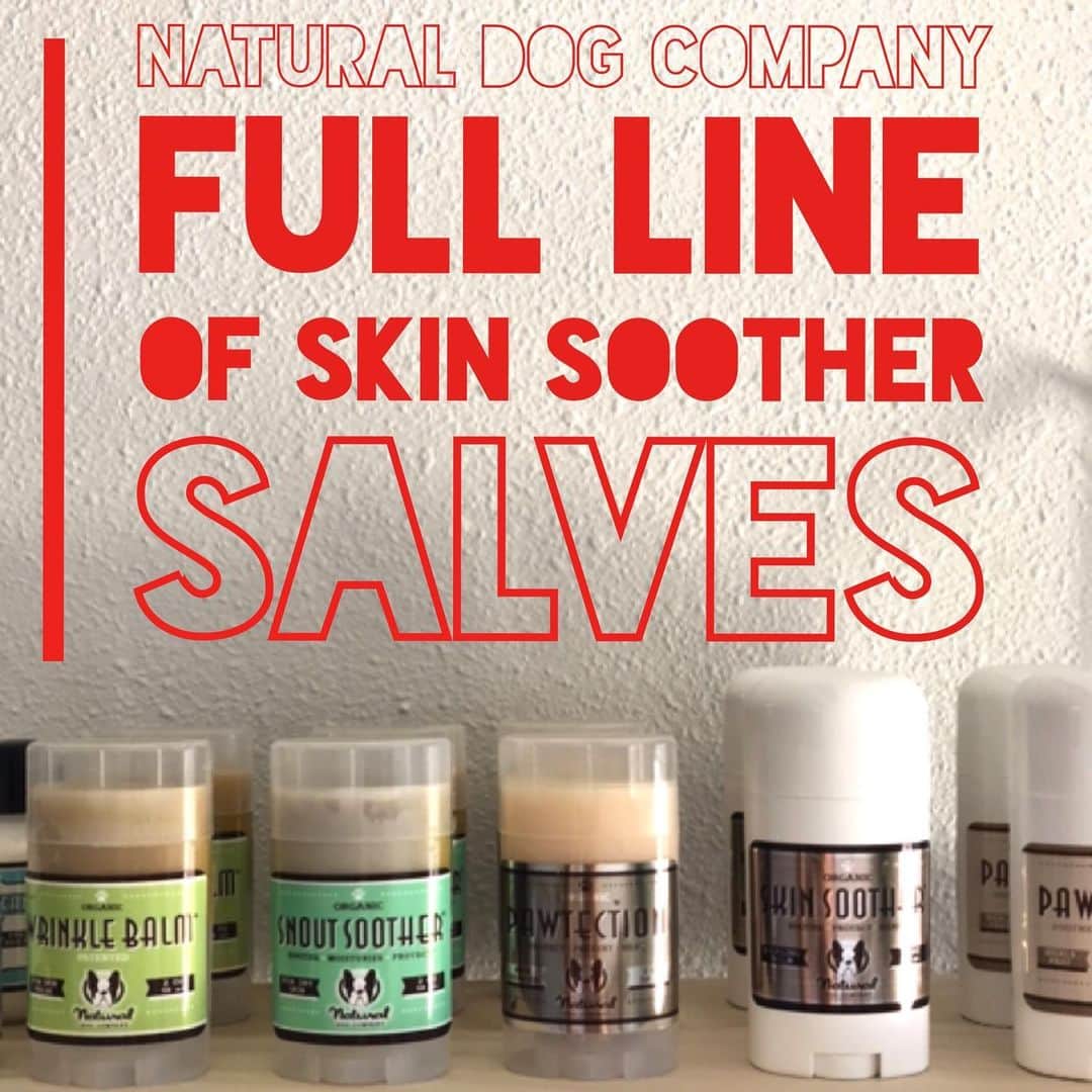 Dogs by Ginaさんのインスタグラム写真 - (Dogs by GinaInstagram)「We got you covered snout to tail! Organic salves. Skin, Snout, Wrinkle, & Paw Soothers.  Maker: @naturaldogcompany  Investment: $20」6月21日 5時20分 - napanatural.dogco