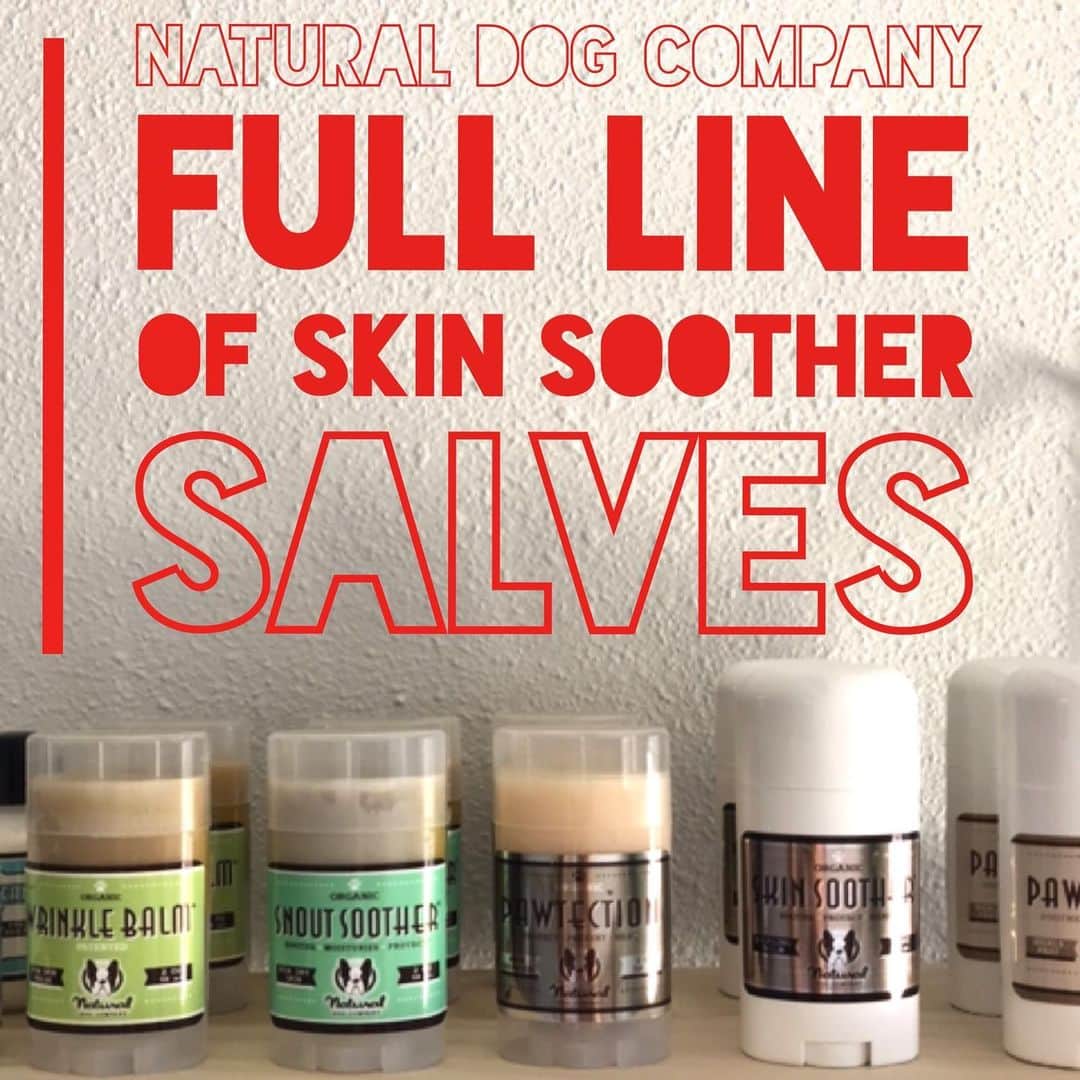 Dogs by Ginaのインスタグラム：「We got you covered snout to tail! Organic salves. Skin, Snout, Wrinkle, & Paw Soothers.  Maker: @naturaldogcompany  Investment: $20」