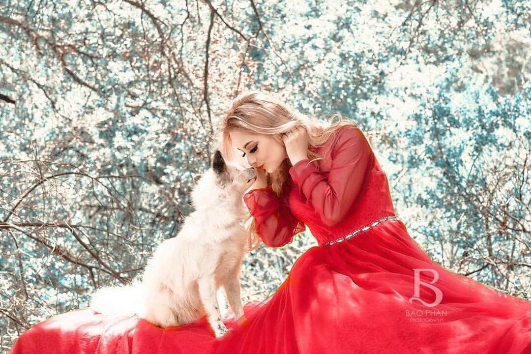 Rylaiさんのインスタグラム写真 - (RylaiInstagram)「“The lady in red is dancing with me, cheek to cheek There's nobody here, it's just you and me It's where I want to be But I hardly know this beauty by my side I'll never forget the way you look tonight” @chrisdeburgh_official Lyrics from Lady in Red . Photocredit: @baotqphan  Stunning model: @sativa_grace  Fox: Maksa, Russian domesticated fox, @jabcecc Ambassador Dress: @ggconnections . #foxesofinstagram #sandiegogram #russiandomesticatedfox #russiandomesticatedfoxes #fox #photography #photoshoot #ladyinred #snowfox #magical #socal #lovefoxes #conservation #bestunning #bebeautiful #befoxy #belove #belight .」6月21日 5時36分 - jabcecc
