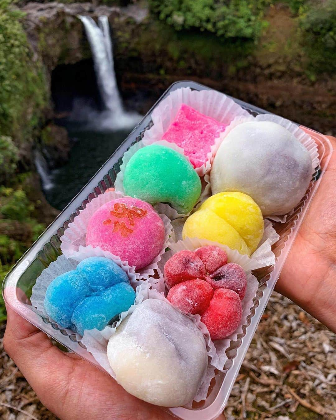 ハワイアン航空さんのインスタグラム写真 - (ハワイアン航空Instagram)「When in #Hilo, you must stop by Two Ladies Kitchen for their homemade mochi & manju. They specialize in unique creations like strawberry shortcake, Okinawan sweet potato, grape and more! ⠀⠀⠀⠀⠀⠀⠀⠀⠀ Tip - Arrive early and bring cash (it's cash only!) ⠀⠀⠀⠀⠀⠀⠀⠀⠀ 📷: @houstonsgotspice ⠀⠀⠀⠀⠀⠀⠀⠀⠀ . . . #ExploreHawaii #GlimpseofHawaii #NakedHawaii #HawaiiUnchained #AlohaOutdoors #LetHawaiiHappen #Hawaii #TwoLadiesKitchen #Hilo #HawaiiIsland #Mochi #Manju」6月21日 6時04分 - hawaiianairlines