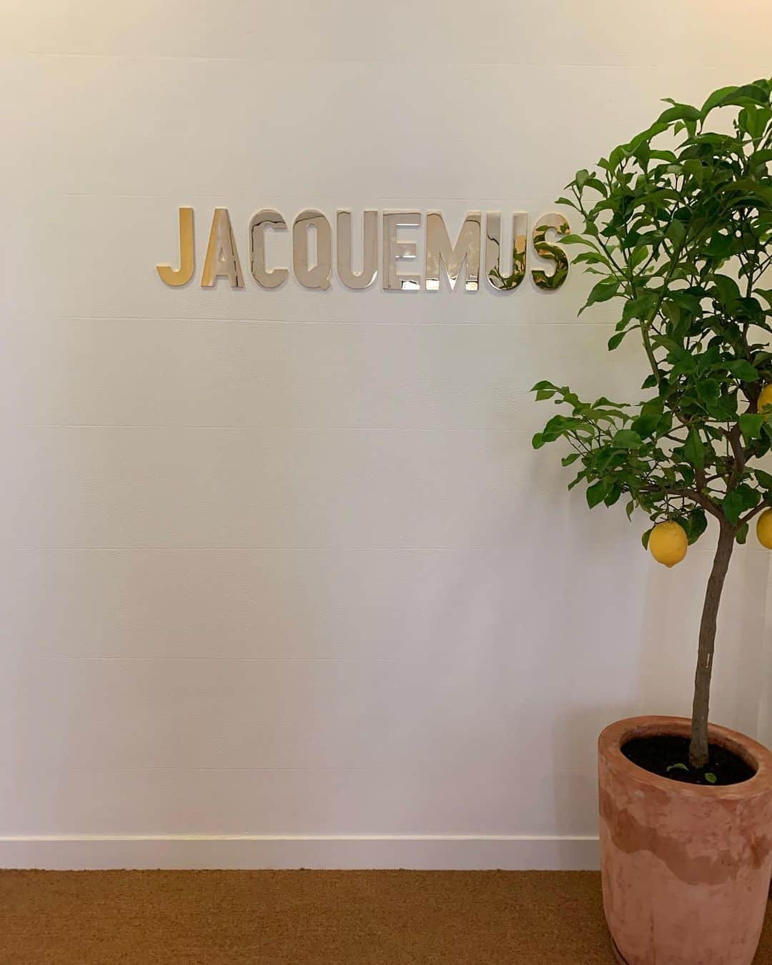 ジャックムスさんのインスタグラム写真 - (ジャックムスInstagram)「ITS A VERY UNIQUE MOMENT TO SEE MY MOTHER NAME, MY NAME, MY COMPANY NAME IN THE ENTRANCE OF OUR NEW JACQUEMUS BUILDING. FEEL SO PROUD OF MY TEAM AND HAPPY. A DREAM..」6月21日 6時08分 - jacquemus