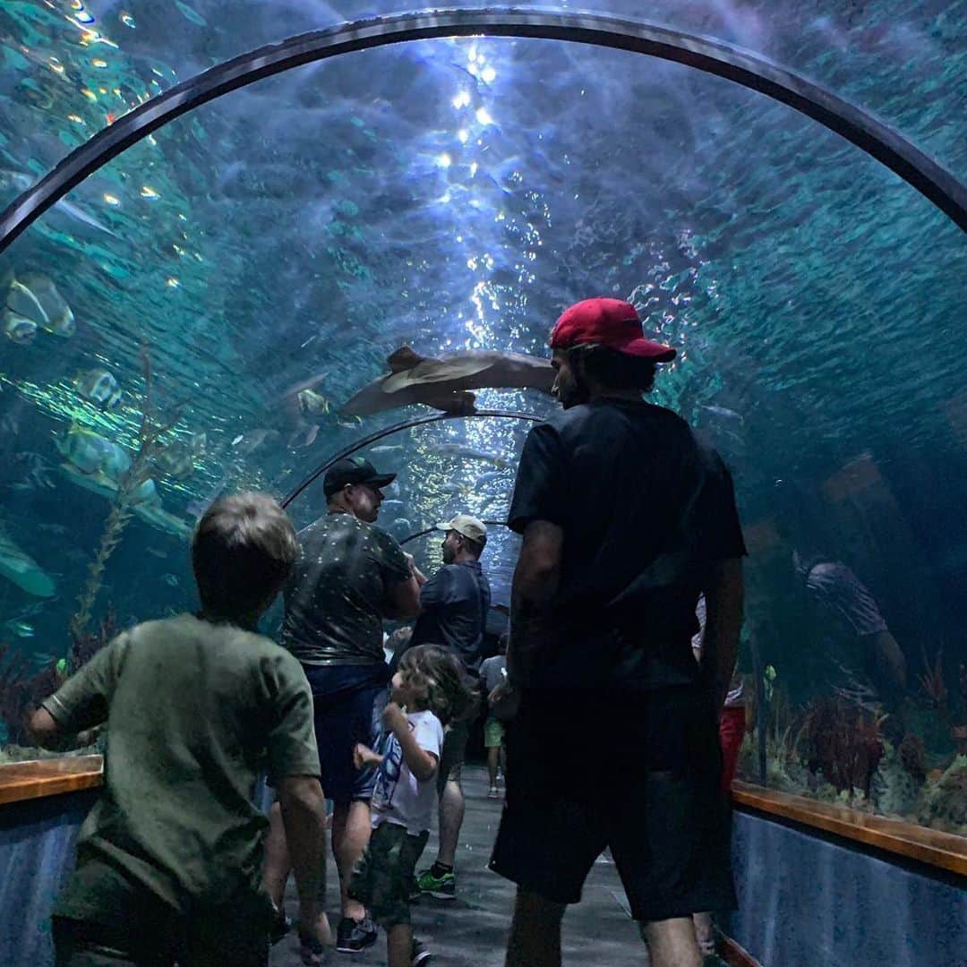 ホタのインスタグラム：「My two 🐯🐯 and some 🐟🐠🐬」
