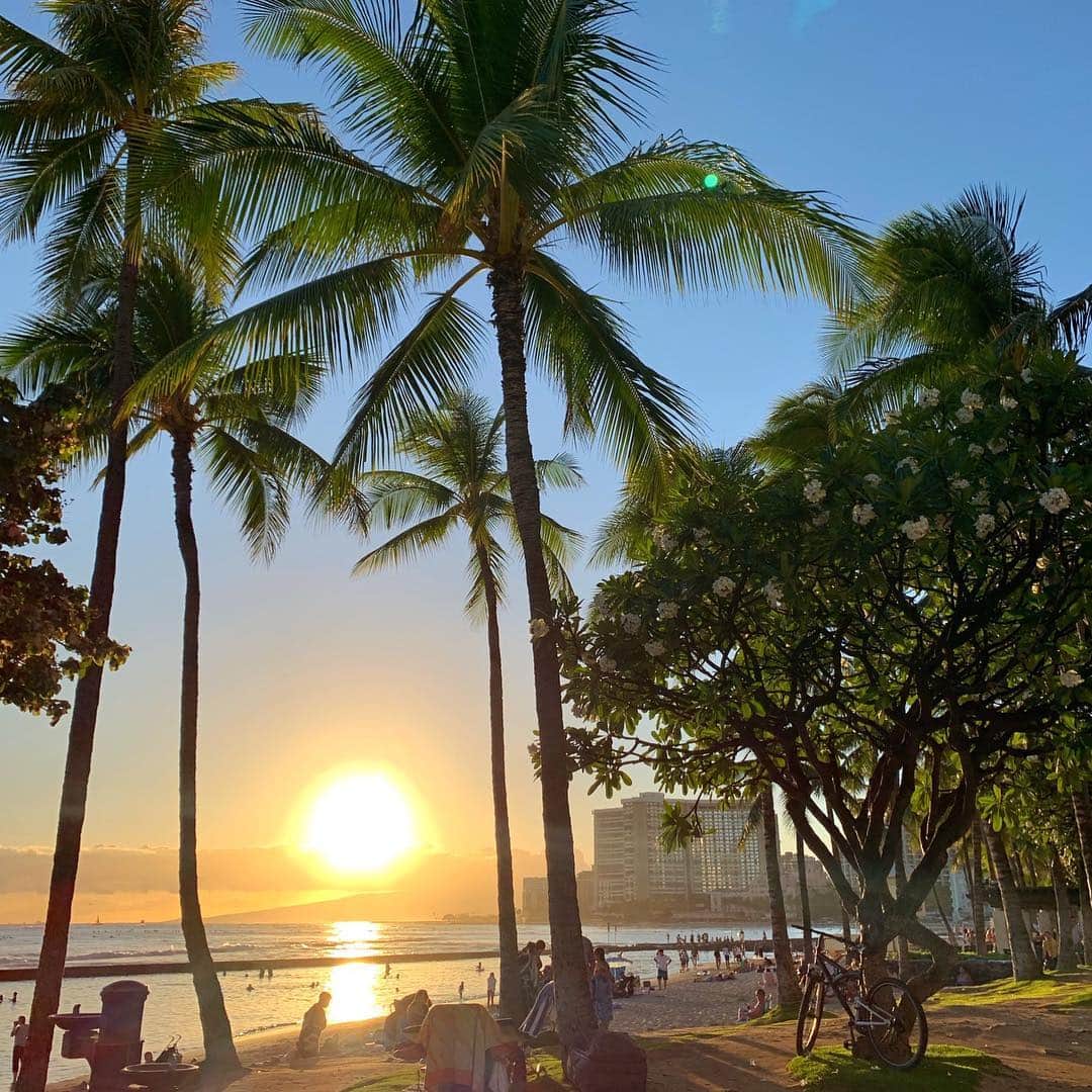 のインスタグラム：「夕暮れ時のワイキキビーチ🌅﻿ ﻿ とっても日が長いこの時期は﻿ 夜7時前でまだこの明るさ😃﻿ ﻿ プルメリアの花も満開で﻿ 夏を実感する最近のワイキキです🤙﻿ ﻿ ﻿ ﻿ ﻿ ﻿ #belleviehawaii #hawaii﻿ #waikiki #waikikibeach﻿ #aloha #honolulu﻿ #hawaiiansunset﻿ #hawaiilife #honoluluhawaii﻿ #ハワイ #ベルヴィー﻿ #ハワイ旅行 #ハワイ好き﻿ #ハワイ大好き #アロハ﻿ #サンセット #ハワイアン﻿ #ハワイ土産 #ハワイ雑貨﻿ #ワイキキ #ワイキキビーチ﻿ #ホノルル #ハワイ生活﻿ #ハワイ好きな人と繋がりたい」