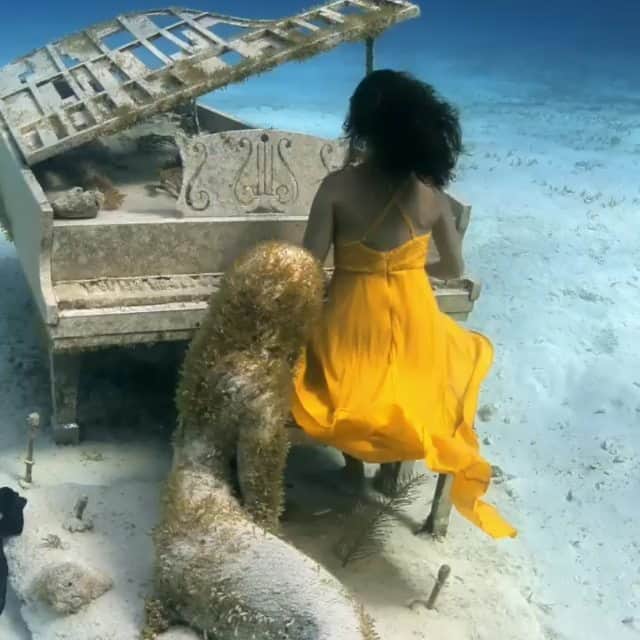 Nature|Folk|Portrait|Videoのインスタグラム：「━━━━━━━━━━━━━━━━━━━ Video by @andremusgrove  Model by @freediversteph  Congratulations!  Selection by @gulperi_karademir ━━━━━━━━━━━━━━━━━━━ Team #portraitmood @unsalsicilli @humanistanbul @celilbezeng @emili35 @gizemparlak_ @gulumsedunya @semihcevval @gulperi_karademir @hakancgrn ━━━━━━━━━━━━━━━━━━━ Community @moodcommunity General Tag #moodcommunity ━━━━━━━━━━━━━━━━━━━ #PM_pics_andremusgrove」