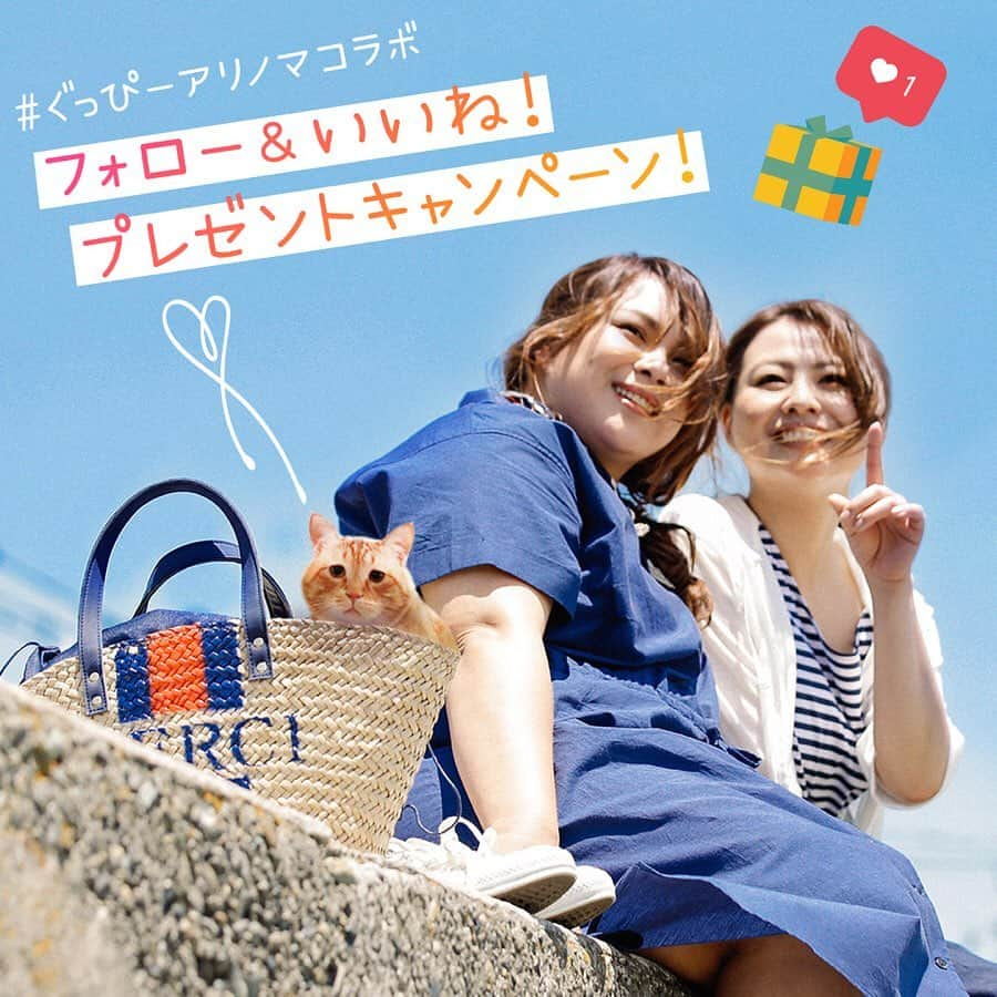 Alinoma公式のインスタグラム