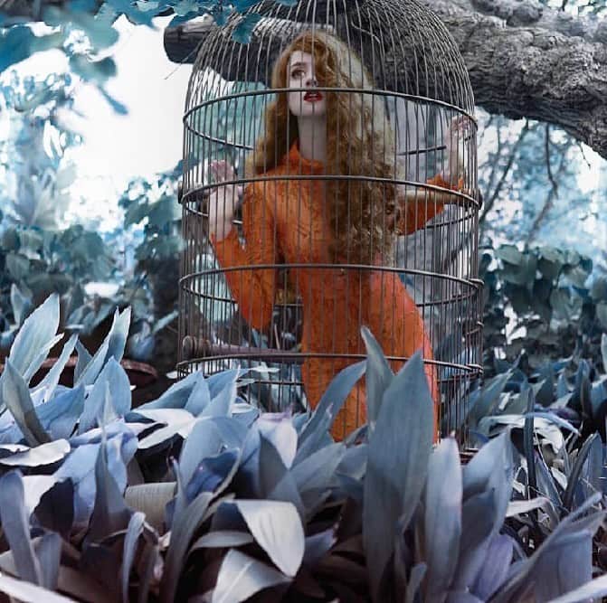アリソン・ハーバードのインスタグラム：「🦜🍂 taken by Bryan Kong」