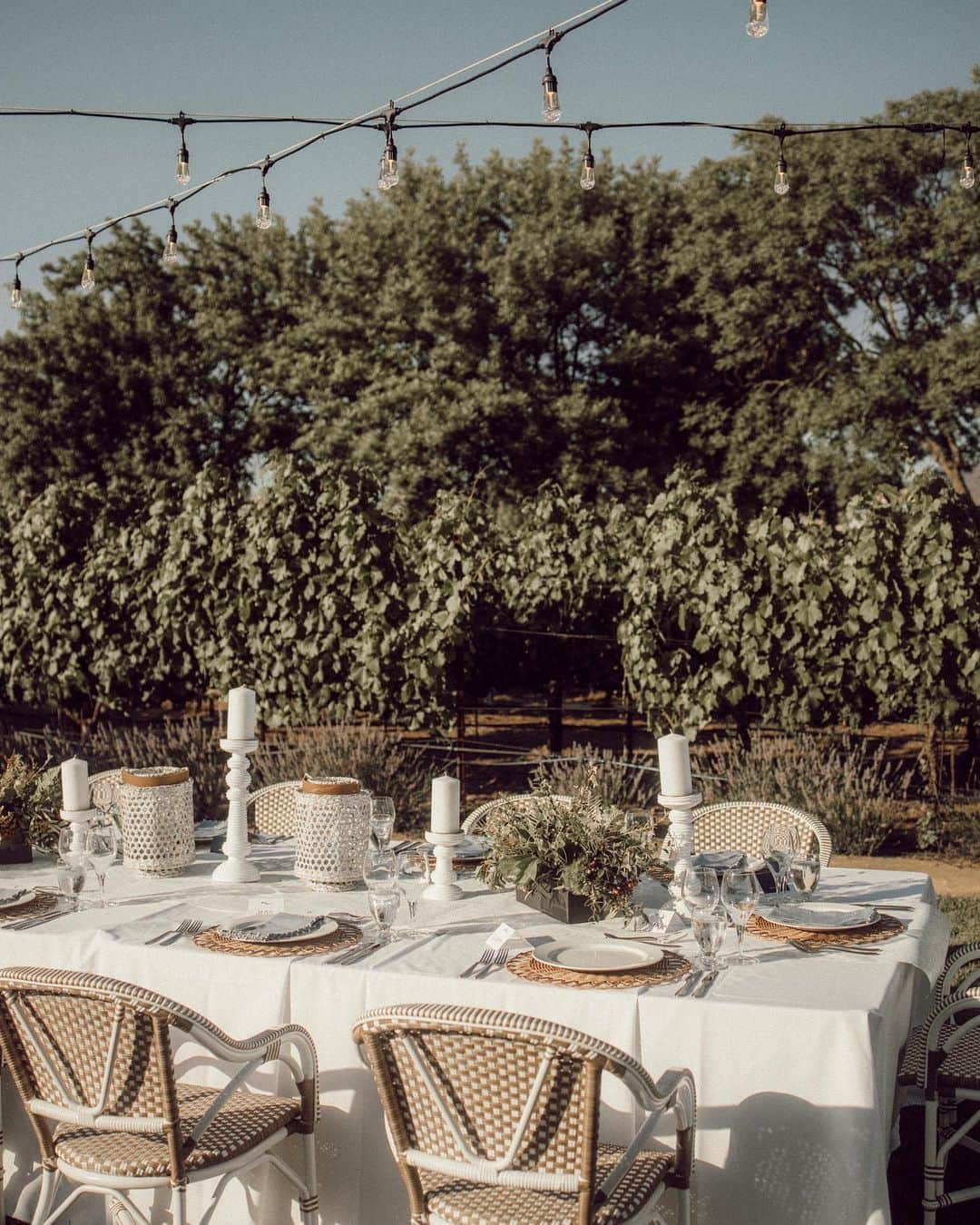 W E Y L I Eさんのインスタグラム写真 - (W E Y L I EInstagram)「First dinner with @serenaandlily here in Napa Valley @hotelvillagio! Feeling very grown up learning all about wine and how it’s made 🍷 Also, can we appreciate this beautiful table set up?! I’m feeling so inspired to host summer parties now! @visitnapavalley  #visitnapavalley #serenaandlily #estateyountville」6月21日 7時43分 - weylie