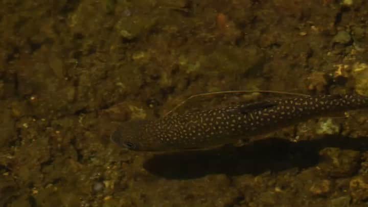 山人のグルメインスタ