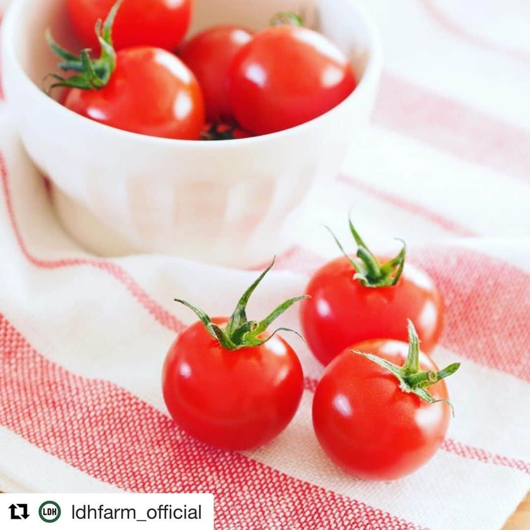 RIKACOさんのインスタグラム写真 - (RIKACOInstagram)「. お知らせ🍅 🔻 . #Repost @ldhfarm_official ・・・ 今シーズン残りわずかとなりました！ ・ いつも沢山のお客様にご利用いただきありがとうございます。 ・ 今シーズンWEB SHOPでのハニートマトの販売は天候の関係で今月末までを予定しております。 ・ WEB SHOPではハニートマトの中でも最高峰の出来を選び抜いてお届けしてますため数に限りがございます。 ・ 次回は11月下旬からの販売を予定しておりますので決まり次第改めてご連絡させていただきます。 ・ 今月末までのとびきりのハニートマトを是非お試しください!! ・ 贈り物にもおススメです。 ・ ※ハニートマトは6/26(水)が今シーズン最終ご注文可能日になります。 ・ ※プレミアムハニートマトはなくなり次第終了となります。 ・  ___🍅ハニートマト🍅___ ・  WEBでの販売はこちらから  _________________________ ・ www.ldhfarm.co.jp/rikaco-table/product/ ・ ↓↓↓ ・  @ldhfarm_official  のプロフィールURLからもご購入いただけます🤗 ・ 🚛💨 _________________ #ldhfarm  #rikacotable  #ハニートマト #eatveggies #fresh  #healthy  #healthylifestyle #🍅 #❤️」6月21日 19時23分 - rikaco_official