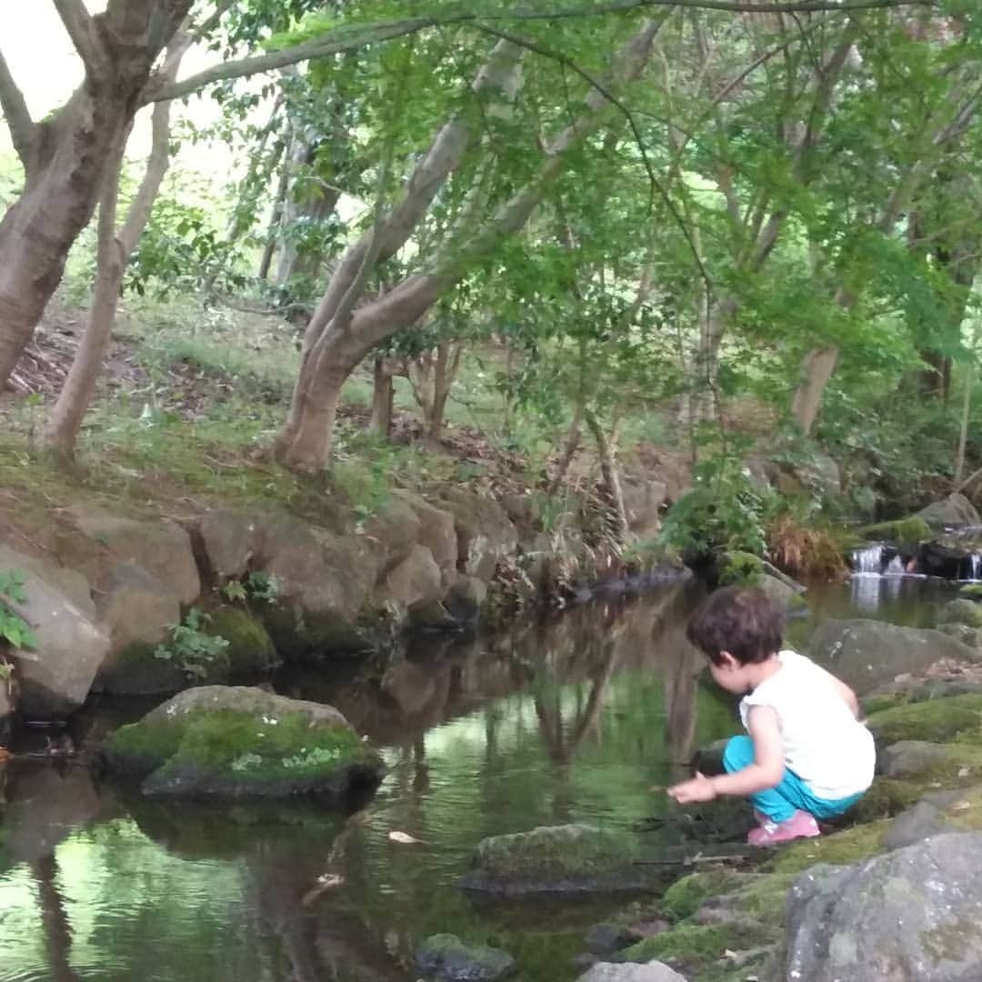 たまこ部@多摩センターさんのインスタグラム写真 - (たまこ部@多摩センターInstagram)「ザリガニが簡単に釣れる長池公園！！菜ばしの先に糸つけて、スルメイカ結んだお手軽竿で結構とれました！！ #長池公園#ザリガニ#川遊び」6月21日 19時25分 - tamacobu2015