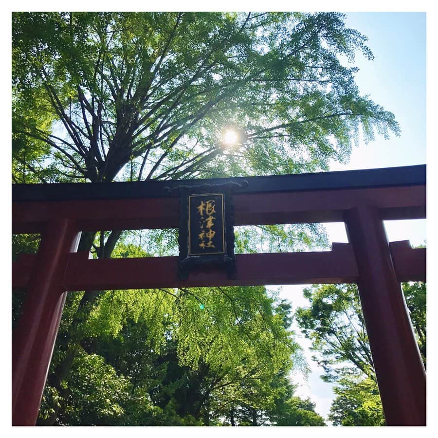 金城茉奈さんのインスタグラム写真 - (金城茉奈Instagram)「先日、根津神社に行ってきました⛩ 東京大学からも近く、文豪ゆかりの地だとか。 根津神社の境内にある、乙女稲荷神社には女性を守ってくれるお稲荷様が祀られているとのこと。乙女稲荷神社の参道にずらりと並んだ少し小ぶりの千本鳥居は邪気払いのパワースポットとも言われているそうで圧巻でした。 都会とは思えないくらいに自然豊かで静かな空間。ちょうど光も差していて緑と朱色がマッチして美しい空間でした。 東京にもこんなとこあるんですね！ 根津神社は、自分の殻が破れる神社とのことで私も、しっかりとお祈りをしてきました。 みなさんにもパワーよ届けっ！🙌🏻 下町散策にぜひ！根津神社に足を運んでみてはいかがでしょう(*'ω'*) #根津神社#乙女稲荷神社#乙女稲荷#神社#神社巡り#根津#根津#谷根千#東京#tokyo#パワースポット#千本鳥居#日本を感じよう」6月21日 19時27分 - mn75aa