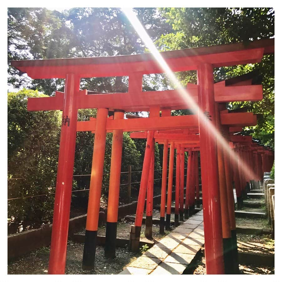 金城茉奈さんのインスタグラム写真 - (金城茉奈Instagram)「先日、根津神社に行ってきました⛩ 東京大学からも近く、文豪ゆかりの地だとか。 根津神社の境内にある、乙女稲荷神社には女性を守ってくれるお稲荷様が祀られているとのこと。乙女稲荷神社の参道にずらりと並んだ少し小ぶりの千本鳥居は邪気払いのパワースポットとも言われているそうで圧巻でした。 都会とは思えないくらいに自然豊かで静かな空間。ちょうど光も差していて緑と朱色がマッチして美しい空間でした。 東京にもこんなとこあるんですね！ 根津神社は、自分の殻が破れる神社とのことで私も、しっかりとお祈りをしてきました。 みなさんにもパワーよ届けっ！🙌🏻 下町散策にぜひ！根津神社に足を運んでみてはいかがでしょう(*'ω'*) #根津神社#乙女稲荷神社#乙女稲荷#神社#神社巡り#根津#根津#谷根千#東京#tokyo#パワースポット#千本鳥居#日本を感じよう」6月21日 19時27分 - mn75aa