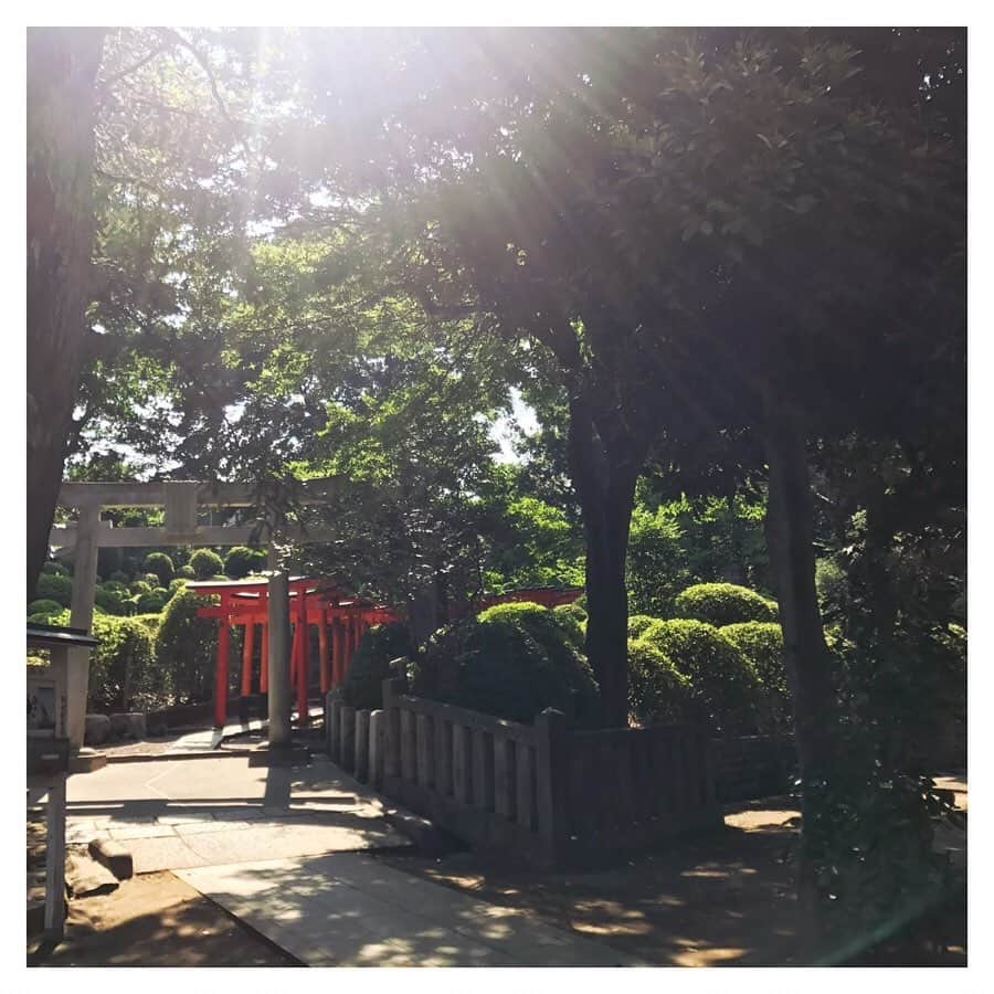 金城茉奈さんのインスタグラム写真 - (金城茉奈Instagram)「先日、根津神社に行ってきました⛩ 東京大学からも近く、文豪ゆかりの地だとか。 根津神社の境内にある、乙女稲荷神社には女性を守ってくれるお稲荷様が祀られているとのこと。乙女稲荷神社の参道にずらりと並んだ少し小ぶりの千本鳥居は邪気払いのパワースポットとも言われているそうで圧巻でした。 都会とは思えないくらいに自然豊かで静かな空間。ちょうど光も差していて緑と朱色がマッチして美しい空間でした。 東京にもこんなとこあるんですね！ 根津神社は、自分の殻が破れる神社とのことで私も、しっかりとお祈りをしてきました。 みなさんにもパワーよ届けっ！🙌🏻 下町散策にぜひ！根津神社に足を運んでみてはいかがでしょう(*'ω'*) #根津神社#乙女稲荷神社#乙女稲荷#神社#神社巡り#根津#根津#谷根千#東京#tokyo#パワースポット#千本鳥居#日本を感じよう」6月21日 19時27分 - mn75aa